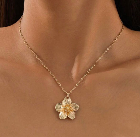 La chaîne Flora